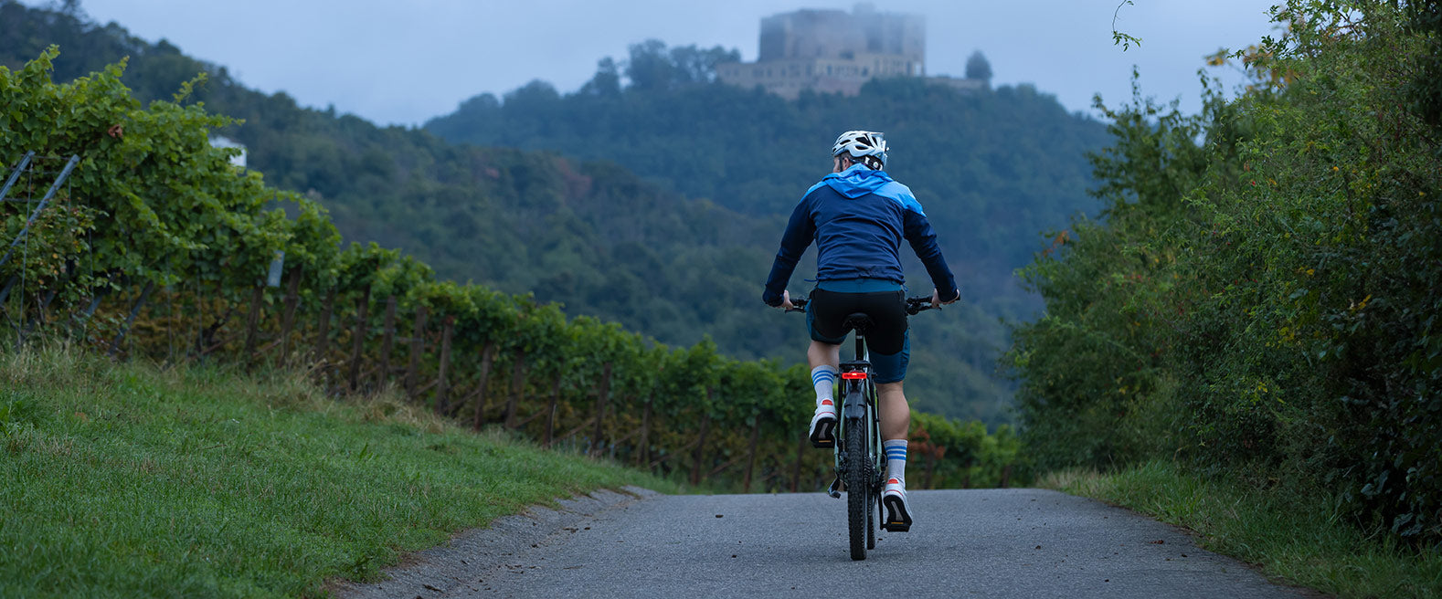 Achterlicht Sigma EOX RL met remlicht - dragerbevestiging