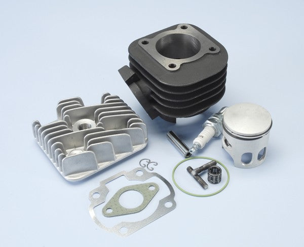 cilinder met kop polini racing 47mm minarelli hor ac 166.0076/r