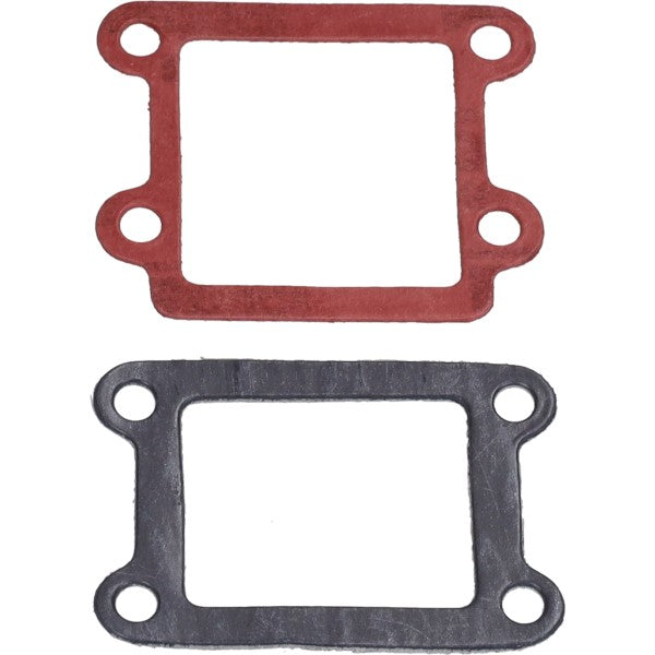 membraanpakking polini minarelli vert 209.0400