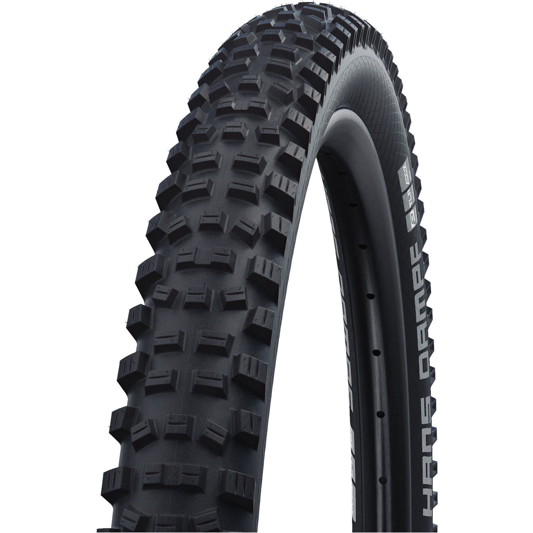 Vouwband Schwalbe Hans Dampf Performance 26 x 2.35" / 60-559 mm - zwart
