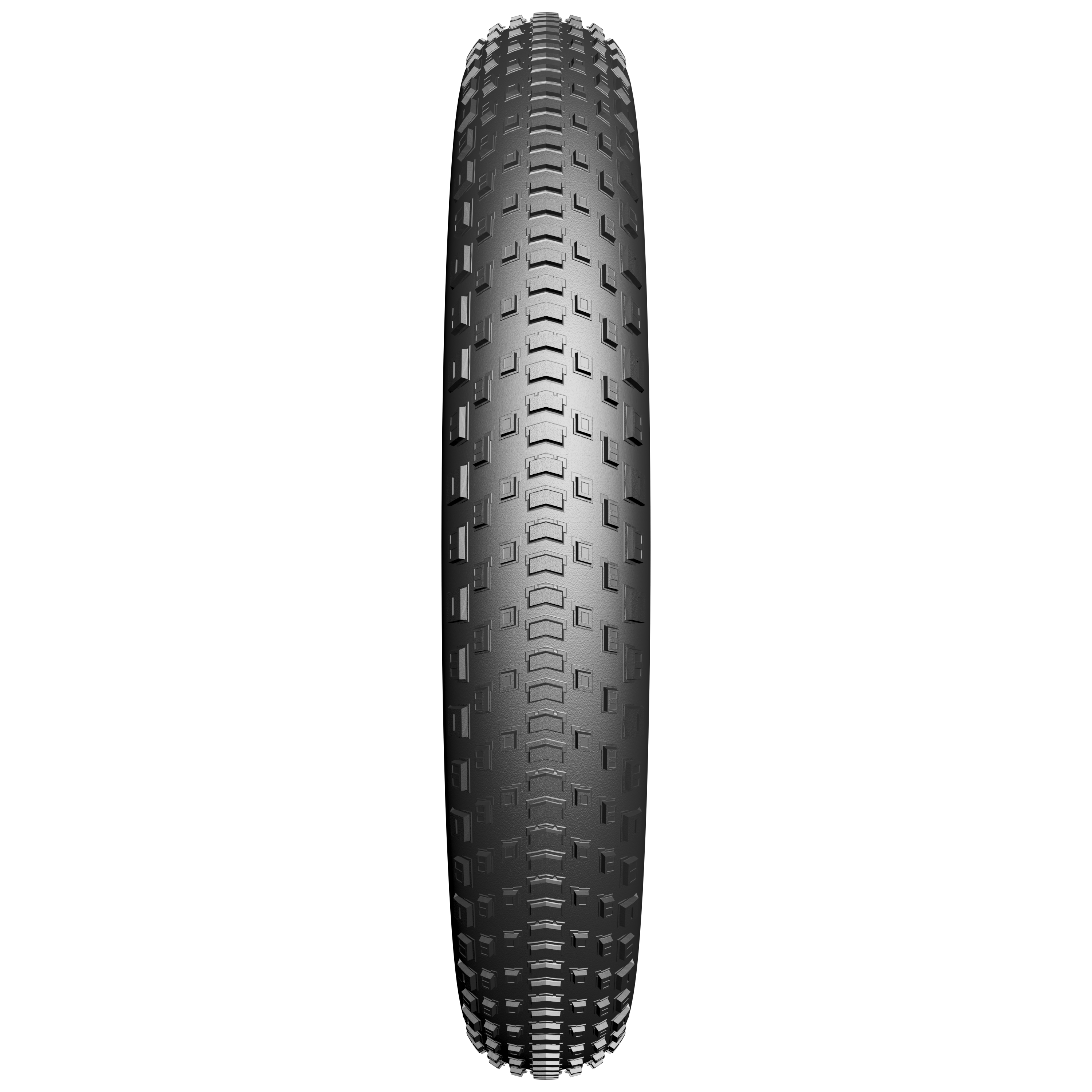 Buitenband Fatbike Edge Fat BST Protect 20 x 4.00" / 100-406mm - zwart