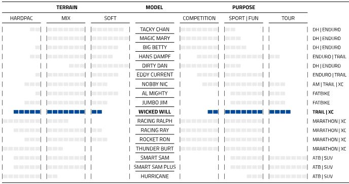 Buitenband Schwalbe Wicked Will Evo Super Race 29 x 2.40"/62-622mm - transparant sidewall