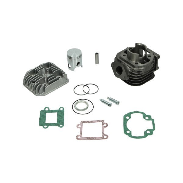 cilinder met kop malossi 40mm Minarelli verticaal 316901