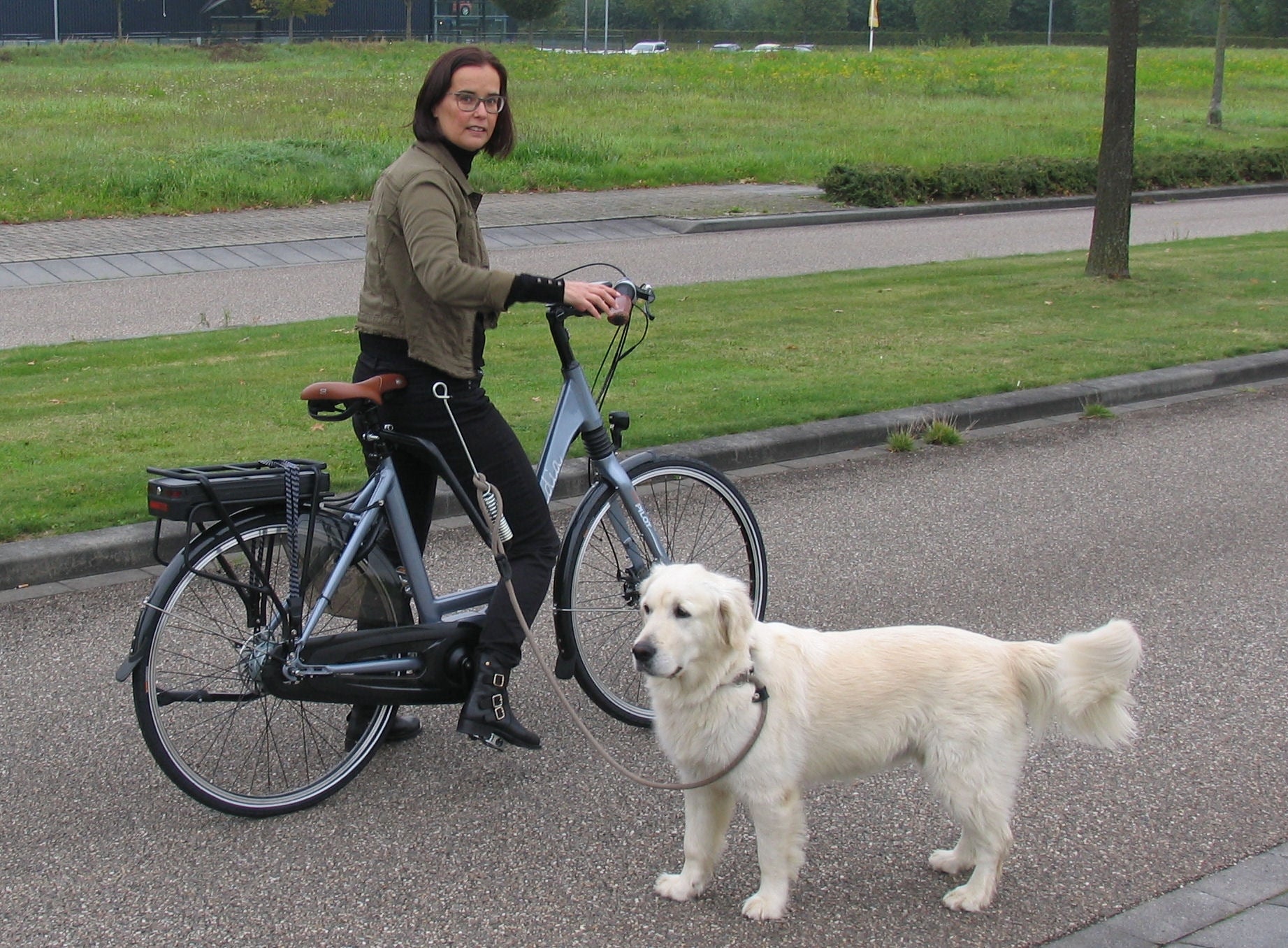 Hondenbeugel met springveer M-Wave "Dog walk"