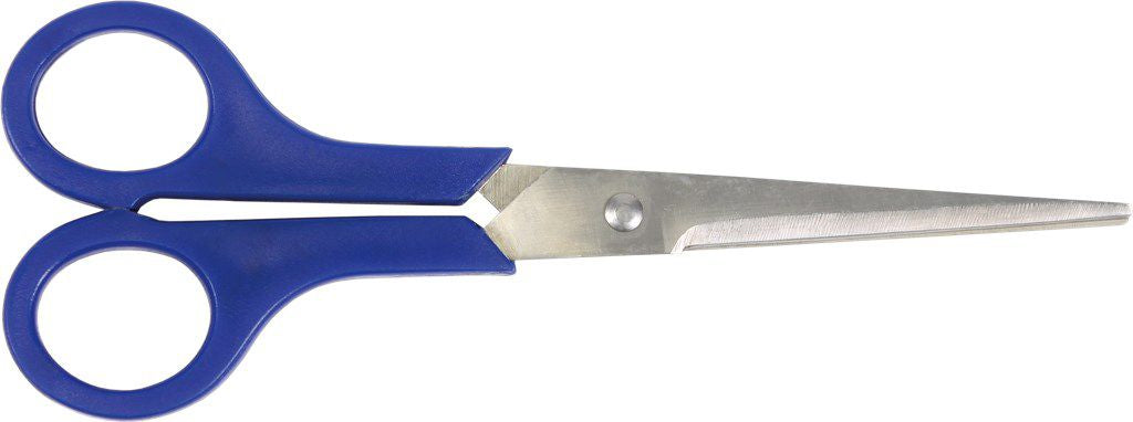 Schaar RVS Cyclus 20 cm universeel