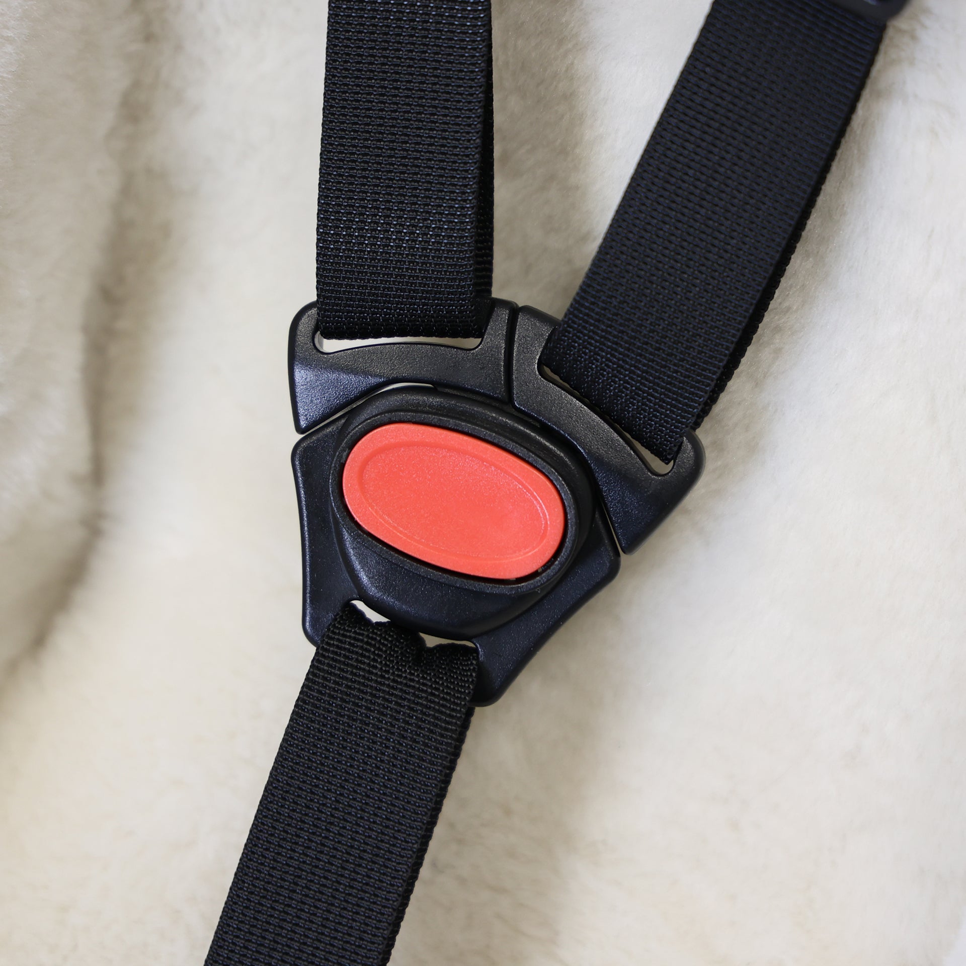 Peuterschaal Edge CargoComfy - 7-19 maanden - wit