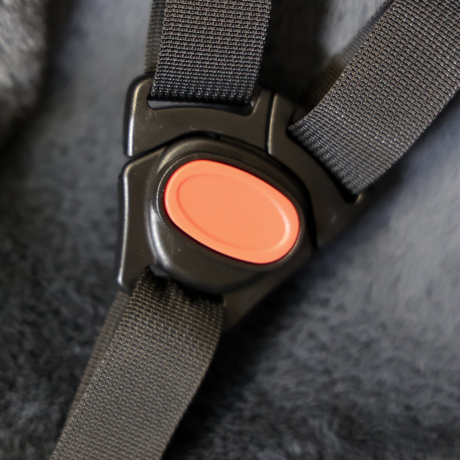 Peuterschaal Edge CargoComfy - 7-19 maanden - wit