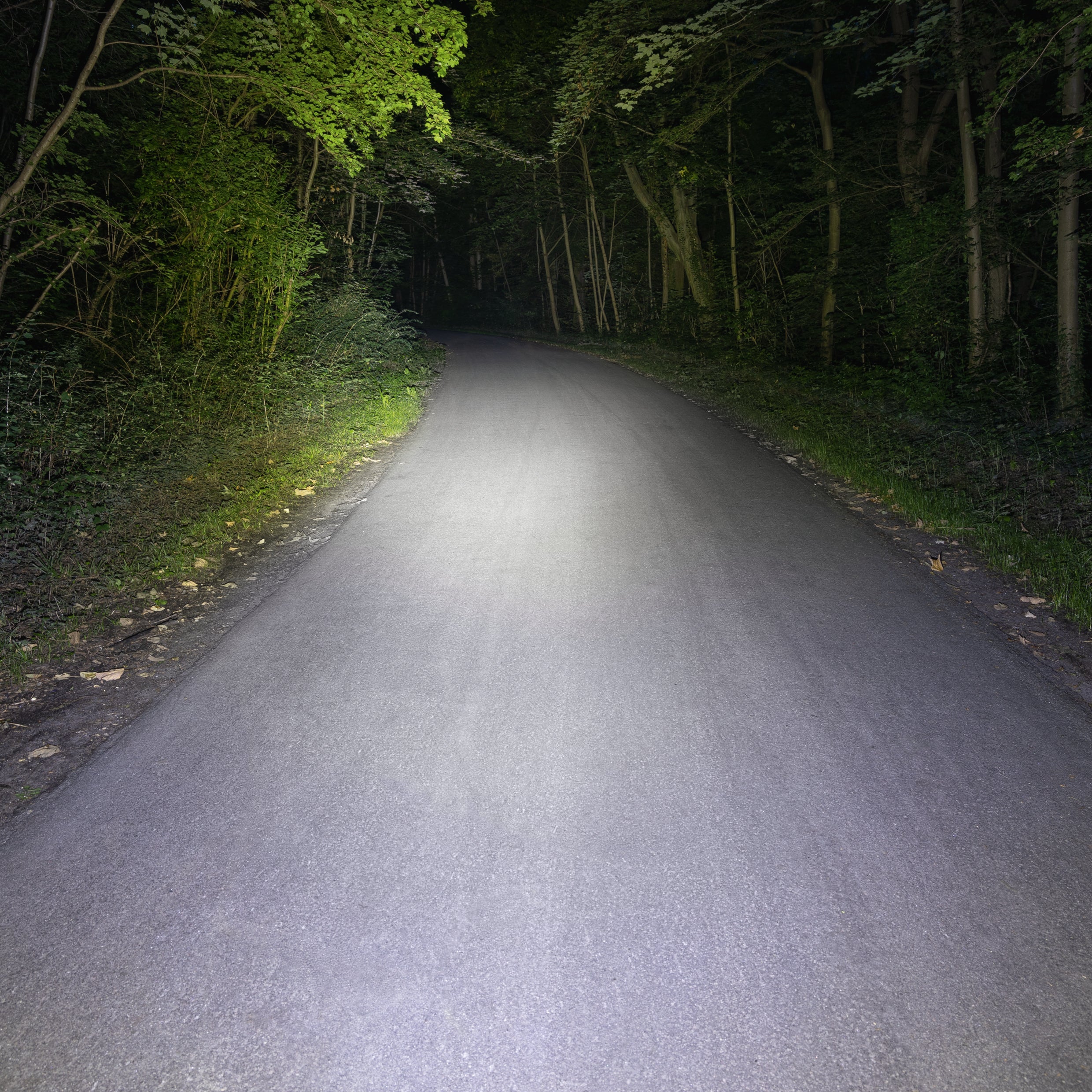 Koplamp Sigma Buster 800 USB met schroefhouder