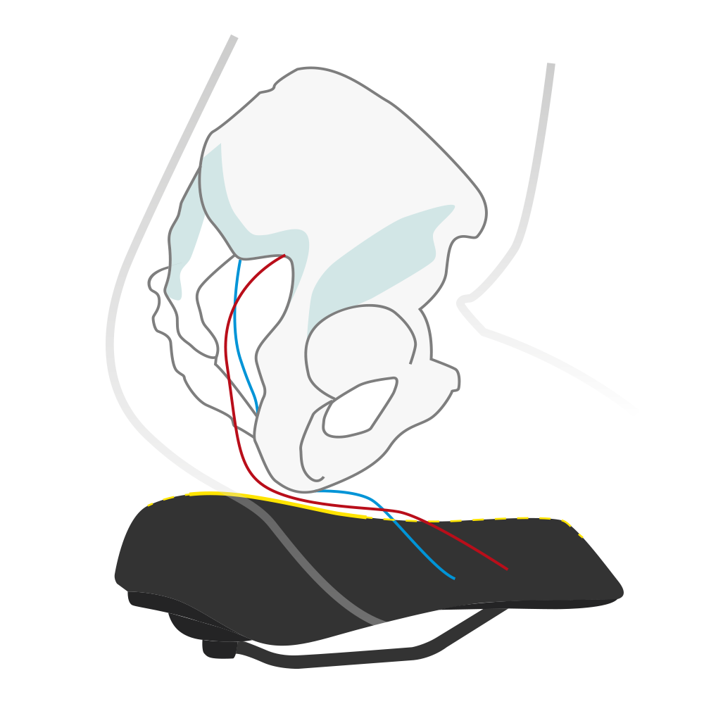 Fietszadel Wittkop Twin Medicus 3.0 City/Trekking - zwart