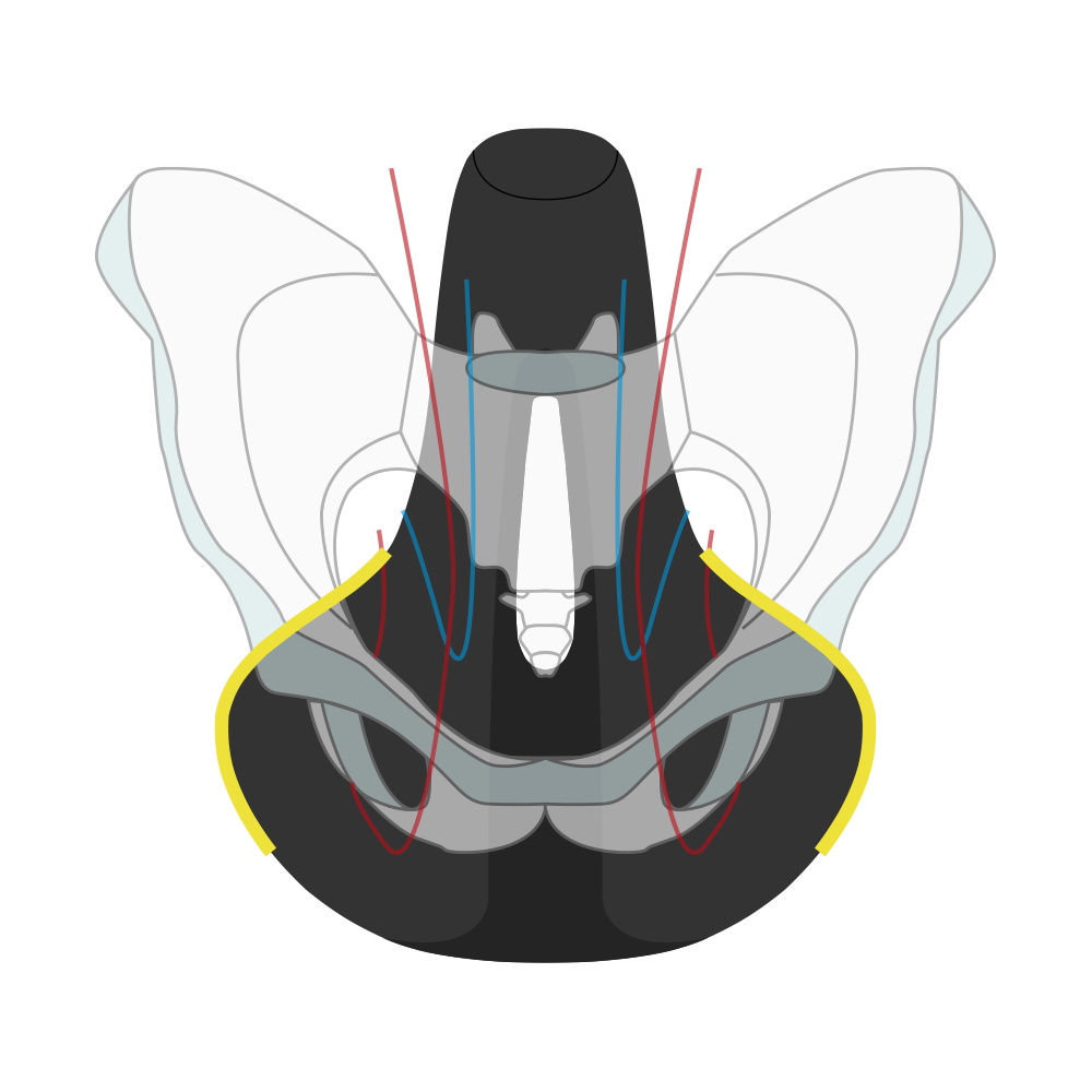 Fietszadel Wittkop Twin Medicus 3.0 City/Trekking - zwart