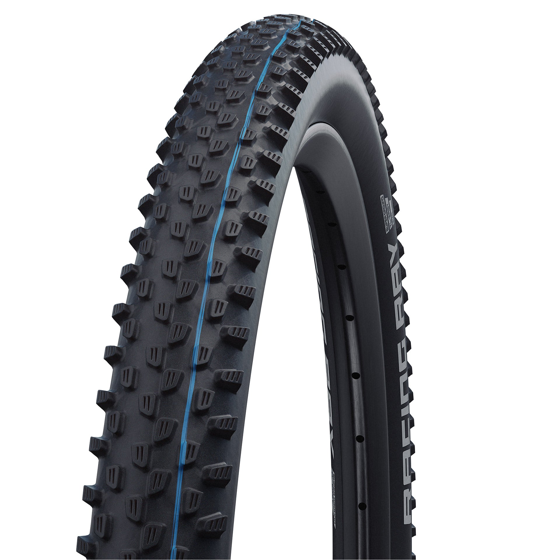 BUB Schwalbe 29-2.25 (57-622) Racing Ray Evolution zw vw