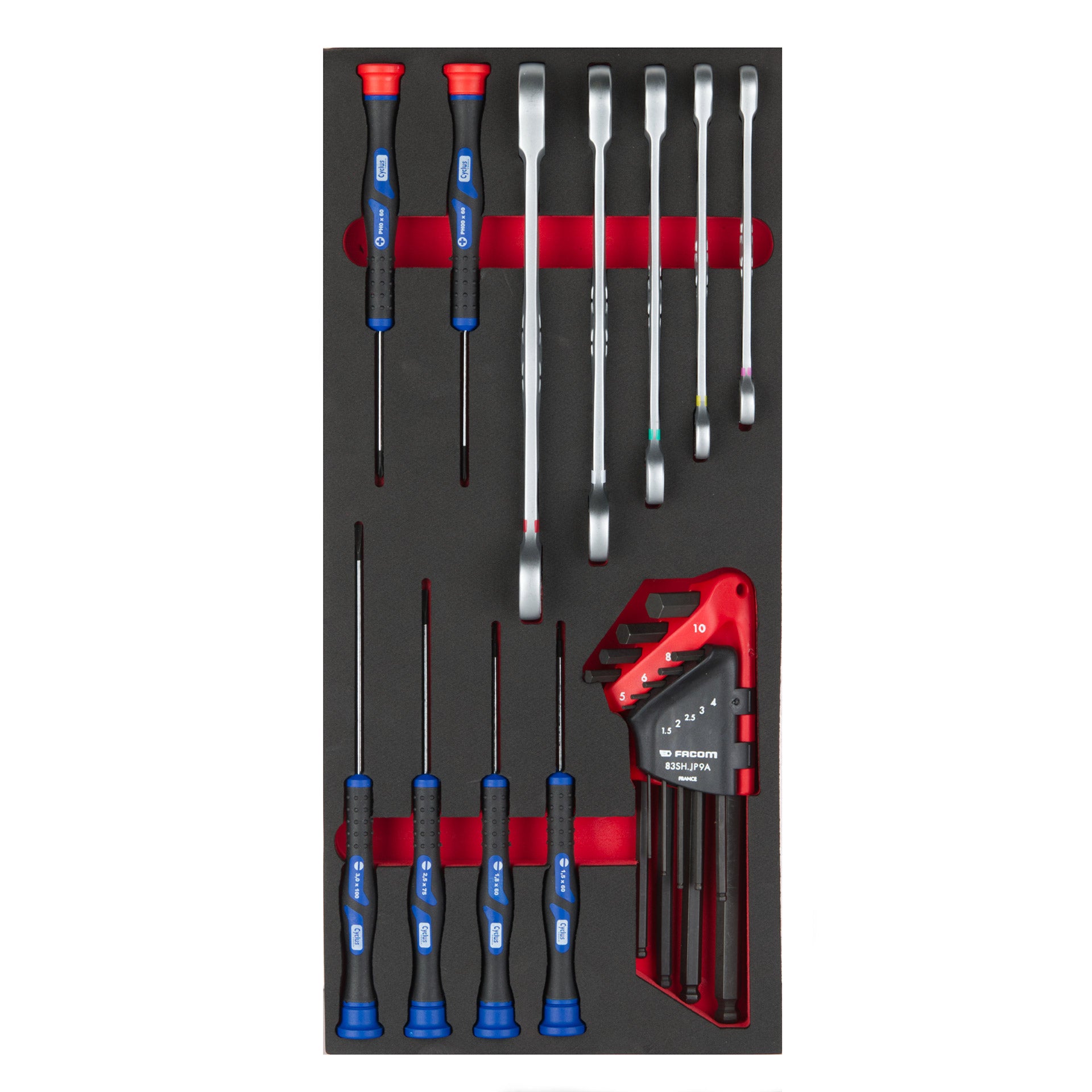 Cyclus foam 21 incl. precisie en Wera sleutels maat S rood