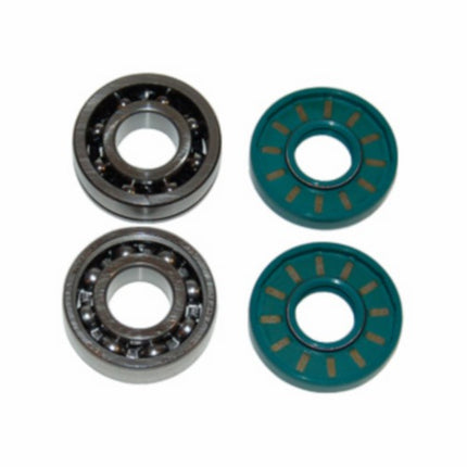 kit roulements + joints spi vilo arrière 4 pièces maxi nt, puch maxi