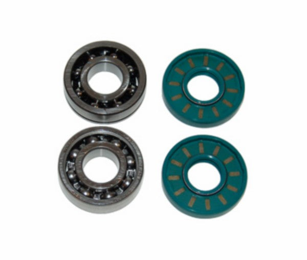 kit roulements + joints spi vilo arrière 4 pièces maxi nt, puch maxi