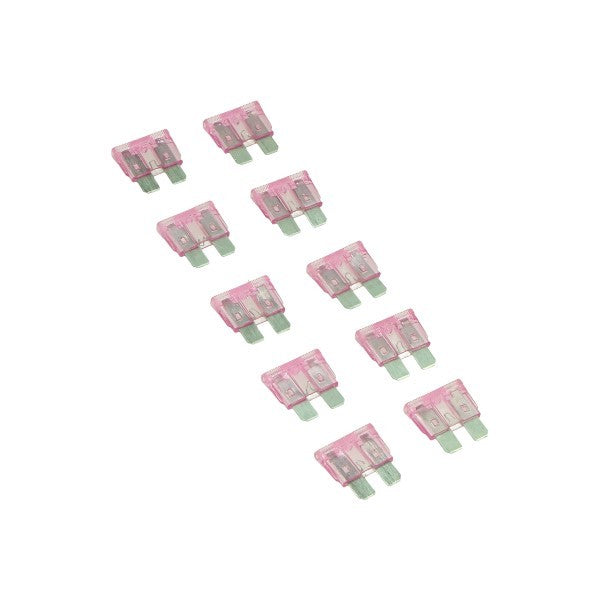 zekering flosser model insteek 3amp 10pcs