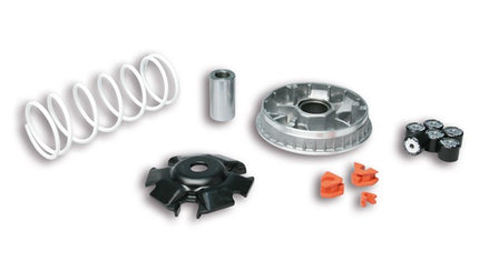 variokit malossi E3 2011 forza, sh 125/150 5115552