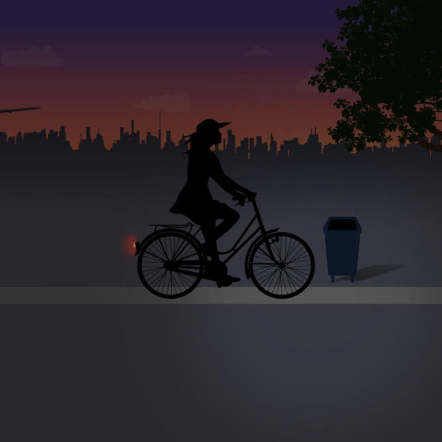 Achterlicht Spanninga Pixeo XB voor spatbordmontage - chroom - met beschermbeugel - afbeelding 2