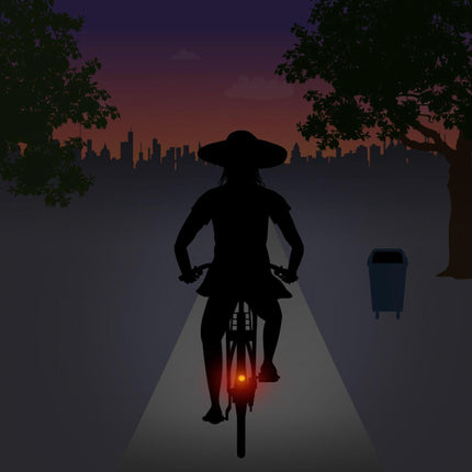 Achterlicht Spanninga Pixeo XB voor spatbordmontage - chroom - met beschermbeugel - afbeelding 4