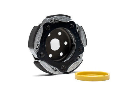 Clutch lining segment Malossi clutch Euro-5 ADV350, Forza 350, Sco Honda, SH350, XADV 5218986