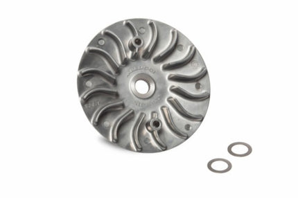 koelvin malossi vario euro-3/4/5 adv150, forza, sh 125/150 6119155