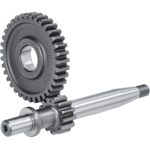 primaire as polini Honda 13/35t camino 202.1315