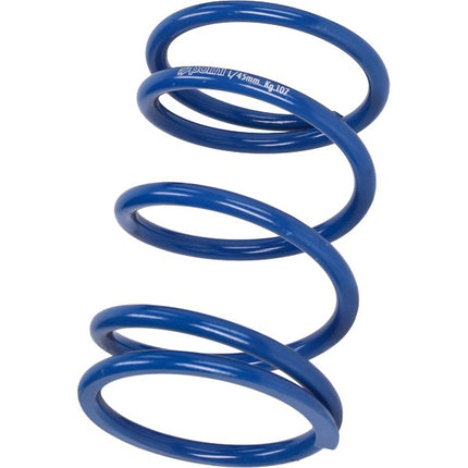 koppelingdrukveer polini euro-5 adv350, sh350 243.111