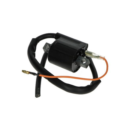 bobine DMP petit modèle Ducati sr nt