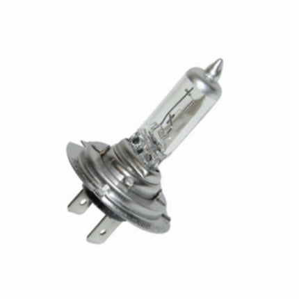 ampoule 12V halogène trifa 55W h7 +50% px26d 1 pièce