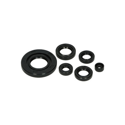 keerringset DMP 50/80cc nsr, mb, mt, mtx