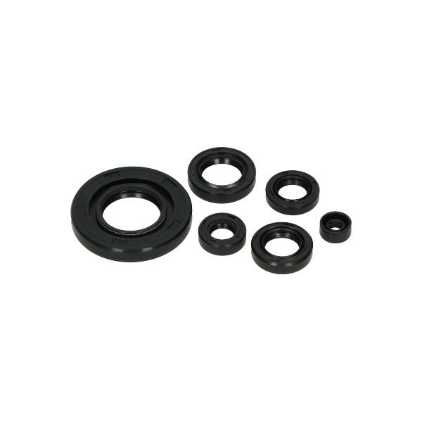 Jeu de joints spi DMP 50/80cc nsr, mb, mt, mtx