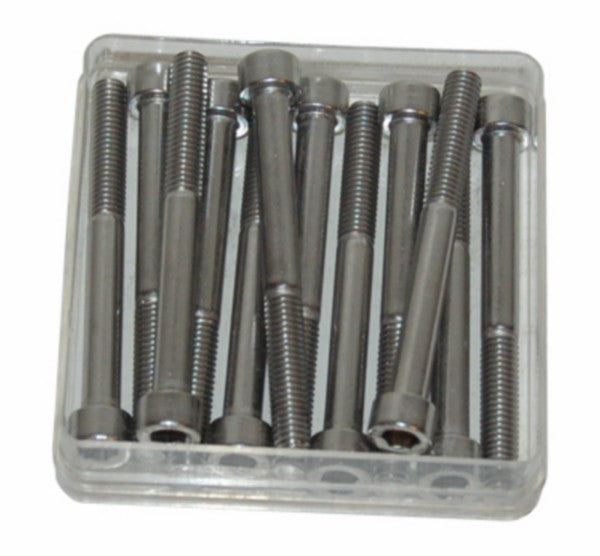 bout inbus m6x60mm rvs 12pcs