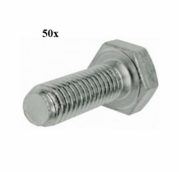 bout zeskant m6x10mm 50pcs