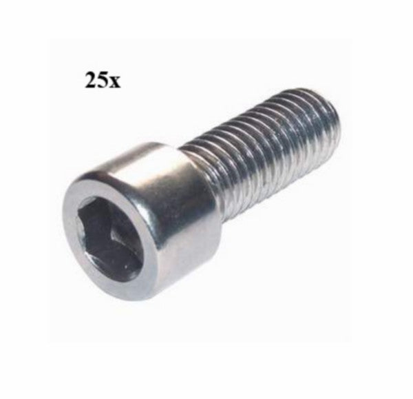 bout inbus m6x10mm 25pcs
