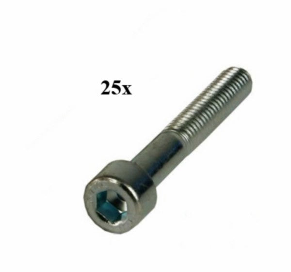 bout inbus m6x30mm 25pcs