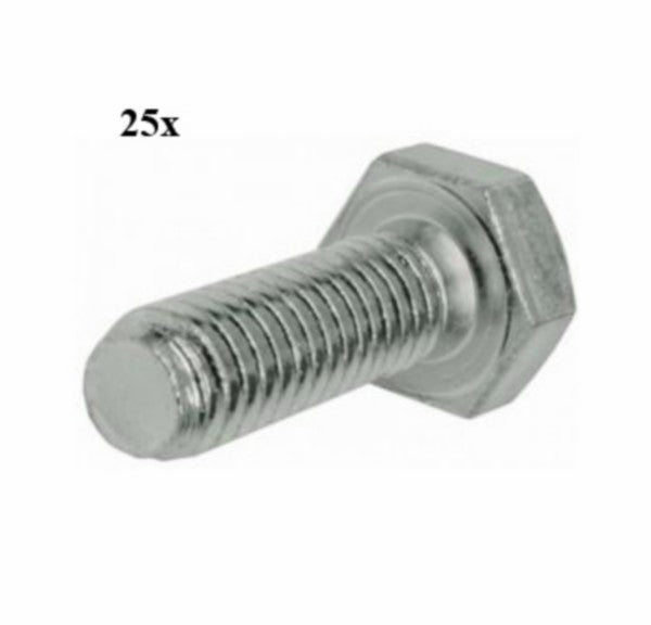 bout zeskant m7x30mm 25pcs