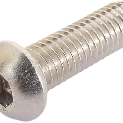 Remschijfbout Bofix M6 inbus met bolkop RVS (10 stuks)