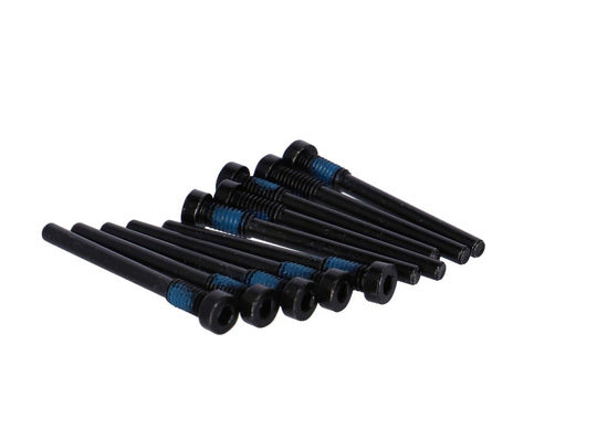 XLC Hayes Bevestiging Bout Remblok M4X36 set van 10 Zwart