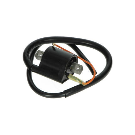 bobine DMP Hanway/Mash mbk booster, aerox, bw, neo, tzr