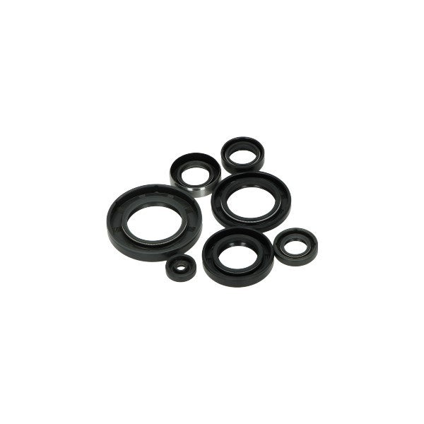 keerringset bac Yamaha (voor roterende schijf motor) fs1