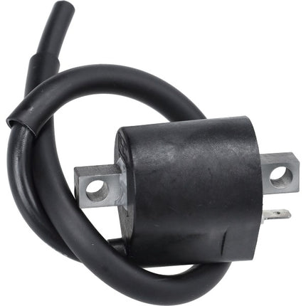bobine polini derbi, minarelli am6, minarelli hor+vert, sco piaggio 2t, senda, senda drd, senda x-treme 171.0640