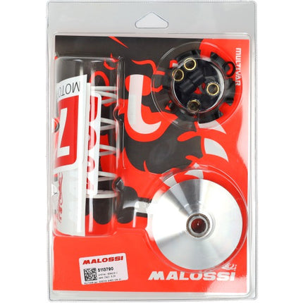 variokit malossi euro-2/4 people, super-8, symply, sco kymco 4t 5113790
