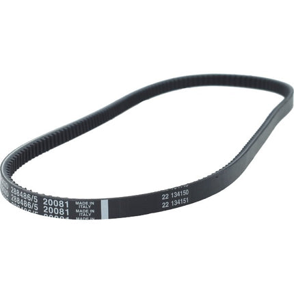 Courroie trapézoïdale Piaggio originale 978x13 Ciao Mix, Ciao PX, Si Mix, Variomatic, Vespa 288486