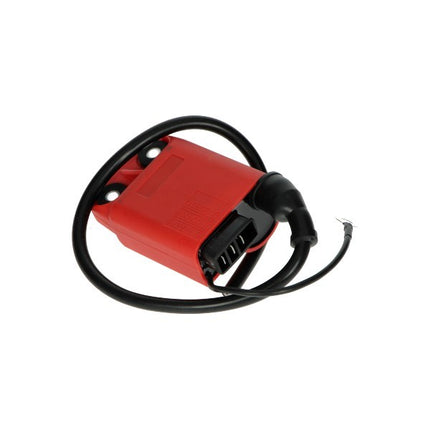 ignition coil/CDI unit NRG, Runner, Sco Piaggio 2T, Sfera, Typhoon, Velofax, Zip