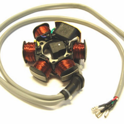 Ignition Piaggio original nrg mc2, nrg mc3, runner, stalker, typhoon, zip 830294