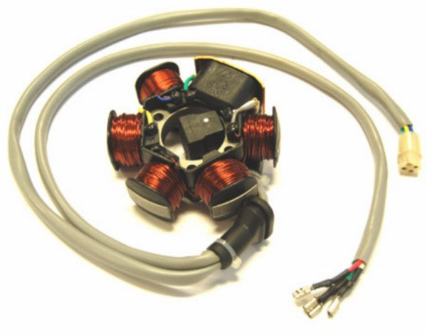 ontsteking Piaggio origineel nrg mc2, nrg mc3, runner, stalker, typhoon, zip 830294