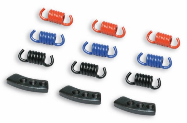 trekveer malossi set koppeling 9-delig sco gy6, v-clic 298747