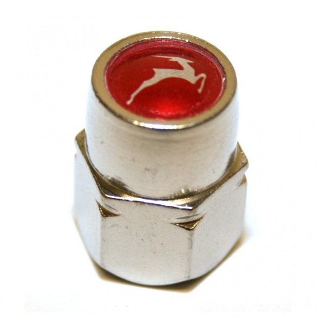 Achterasdopmoer Gazelle RVS Nexus