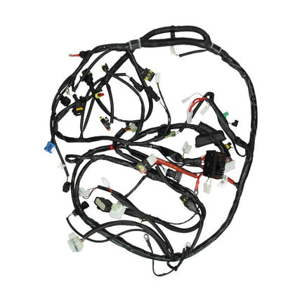 Wiring harness Piaggio original (halogen) Primavera 4T [Euro4], Sprint 4T (Euro4) 1D002339