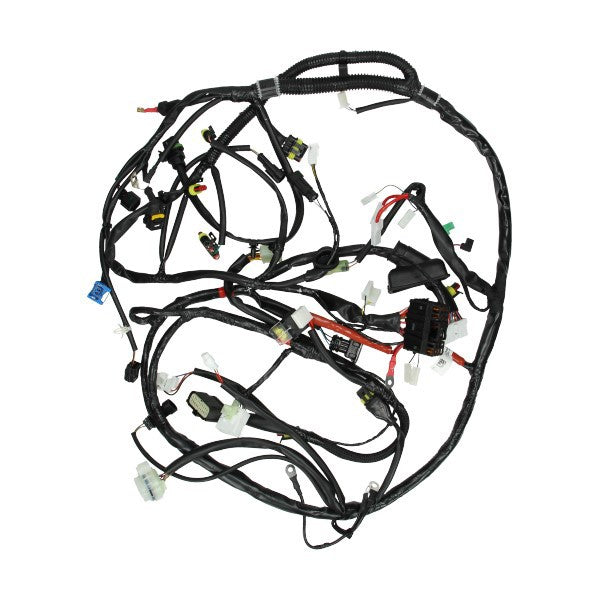 kabelboom Piaggio origineel (halogeen) primavera 4t [euro4], sprint 4t (euro4) 1d002339