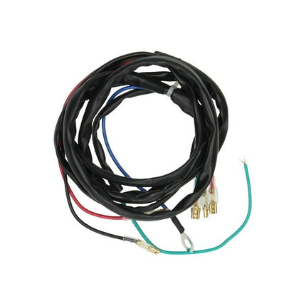 wiring harness Citta 311290